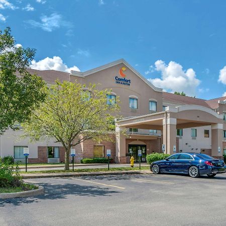 Comfort Inn & Suites St Louis-Оу'Фелон Екстер'єр фото